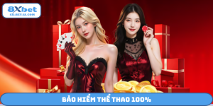bảo hiểm thể thao 100