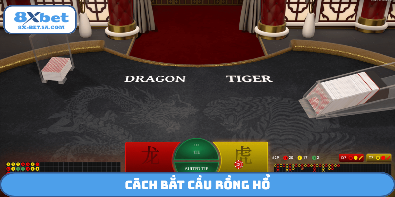 Cách bắt cầu Rồng Hổ