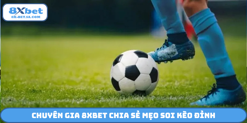 Chuyên gia 8Xbet chia sẻ mẹo soi kèo đỉnh